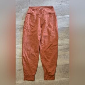 JoyLab Rust Jogger Pants
